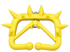 Buy Calf Weaner in India